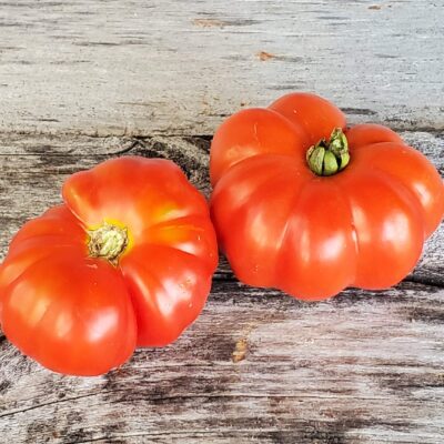 Pretty red tomatoes with wavy scalloped edges.