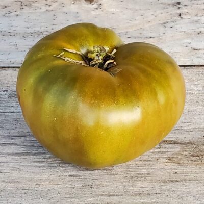 Large bronze green Zebra Tomato sitting on a wooden surface.