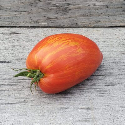 Orange striped red Speckled Roman Tomato on a wooden surface.