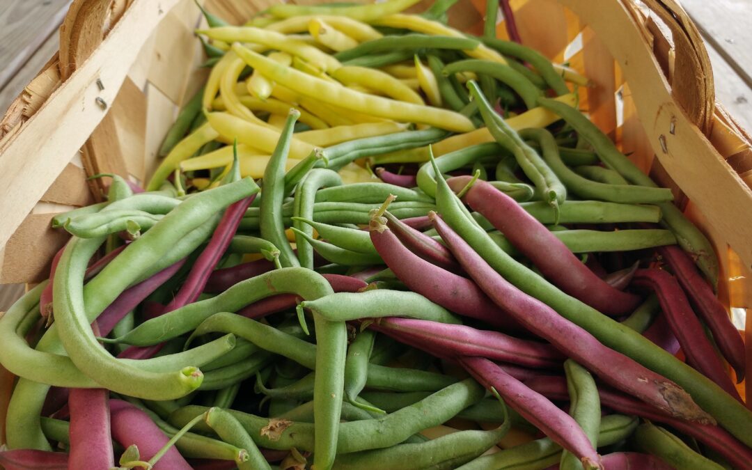 Green Bean and Pepper Salad Recipe