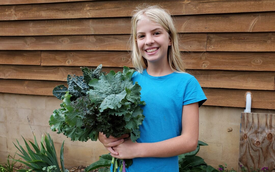 Sautéed Greens Recipe