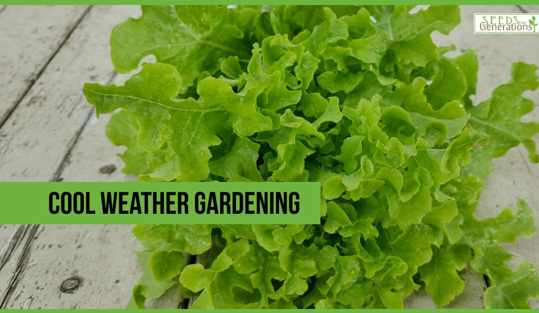 Cool Weather Gardening Sale