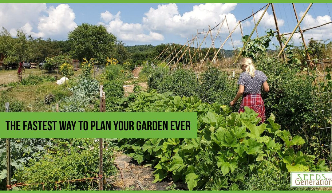 The Fastest Way to Plan Your Garden Ever Training with Paul Dysinger