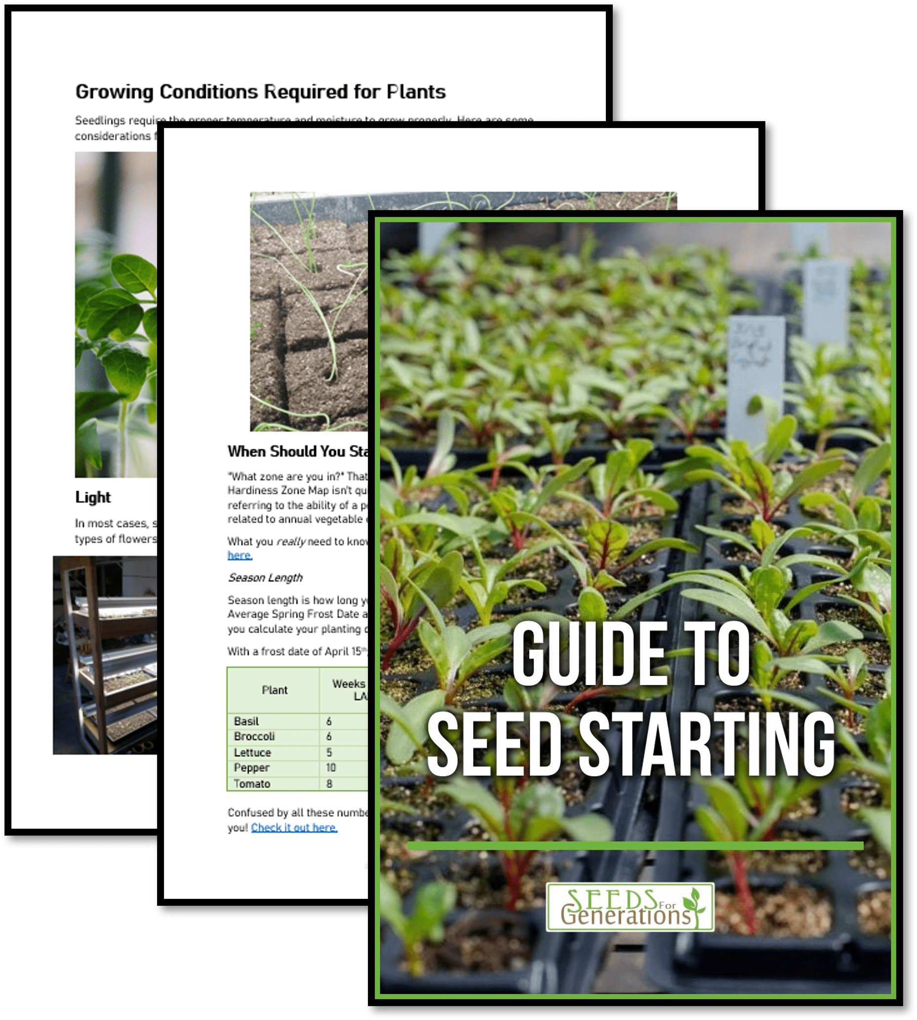 Seed Starting Guide