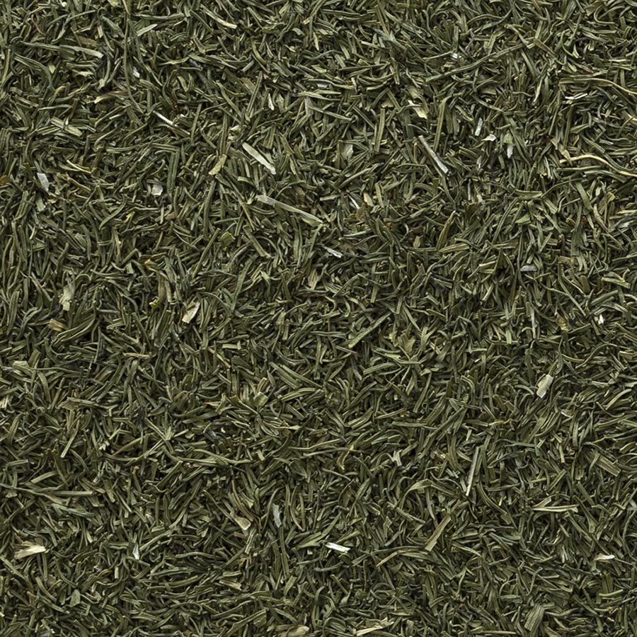 Dill Weed - Seeds for Generations Green dill weed.