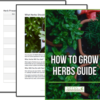 How to Grow Herbs guide with pages.