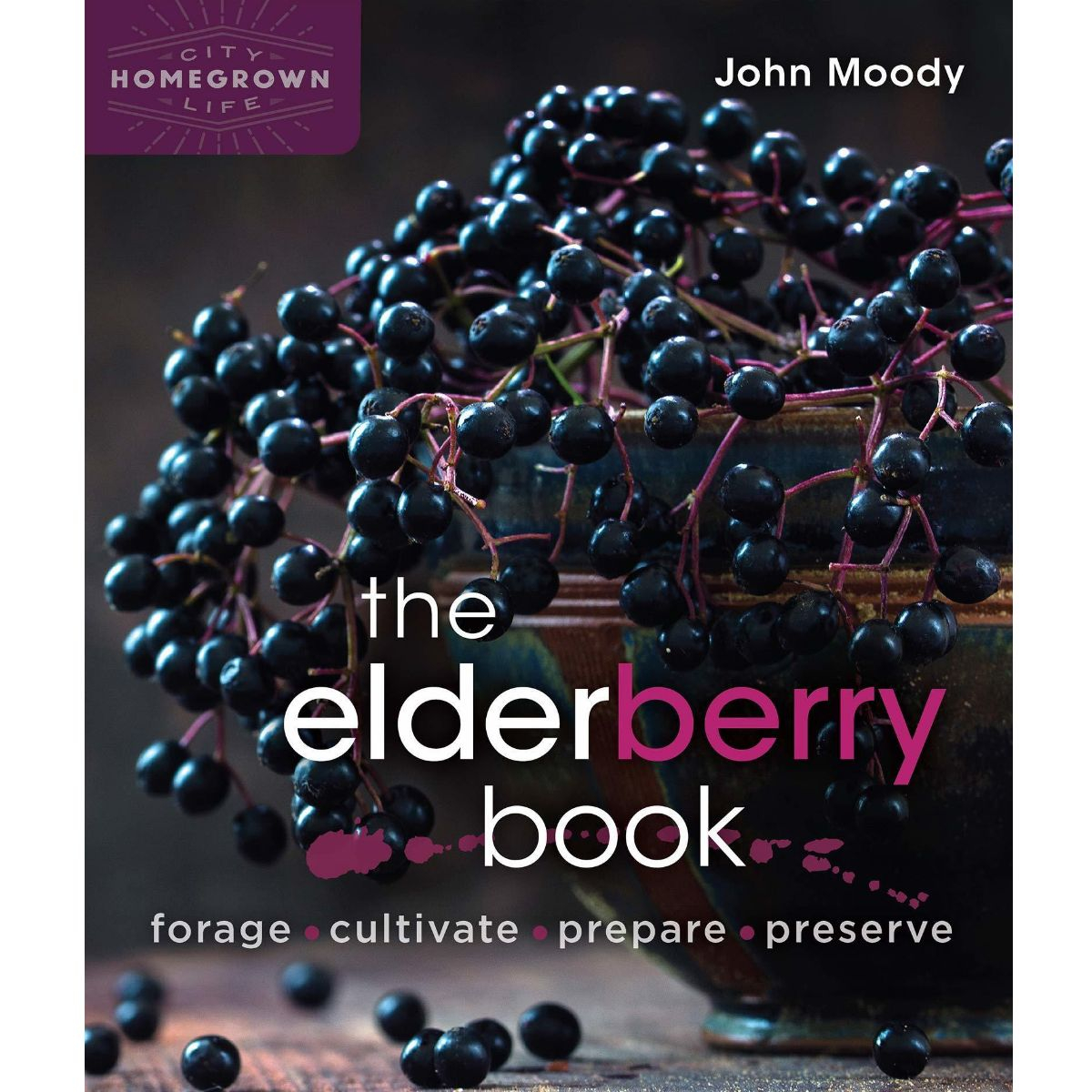 The Elderberry Book front cover with large dark elderberries pictured on it.