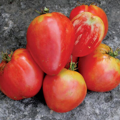 Whole Hungarian Heart tomatoes.