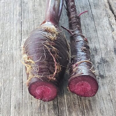 Two fresh Black Nebula Carrots with their tops cut off, resting on a wooden surface.