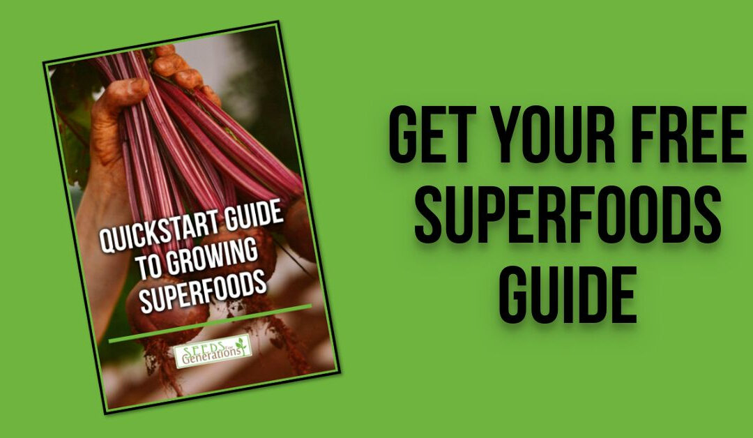 Free Superfoods Guide