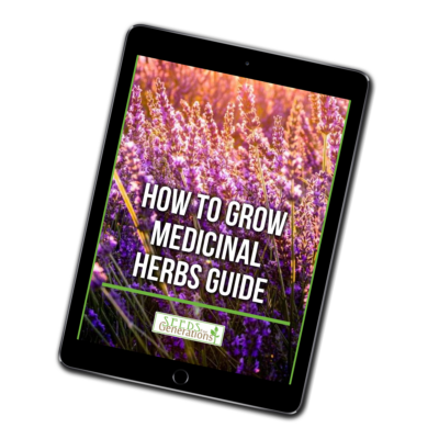 Medicinal Herbs Guide on a mobile device.