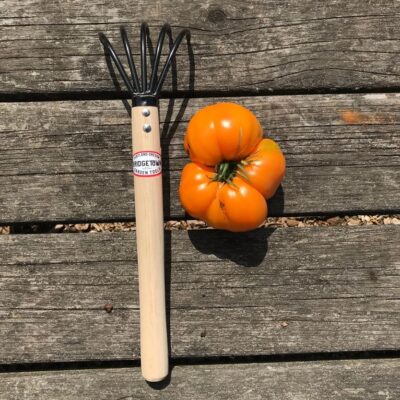 Long Handle Claw Rake and Cultivator next to a tomato.