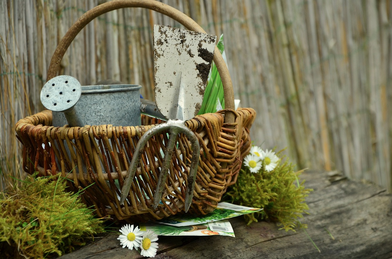Garden tools in a basket with seed packets scattered around. 