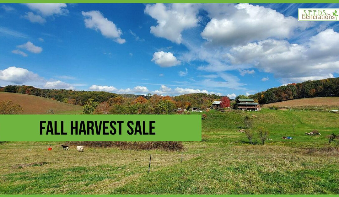 Fall Harvest Sale