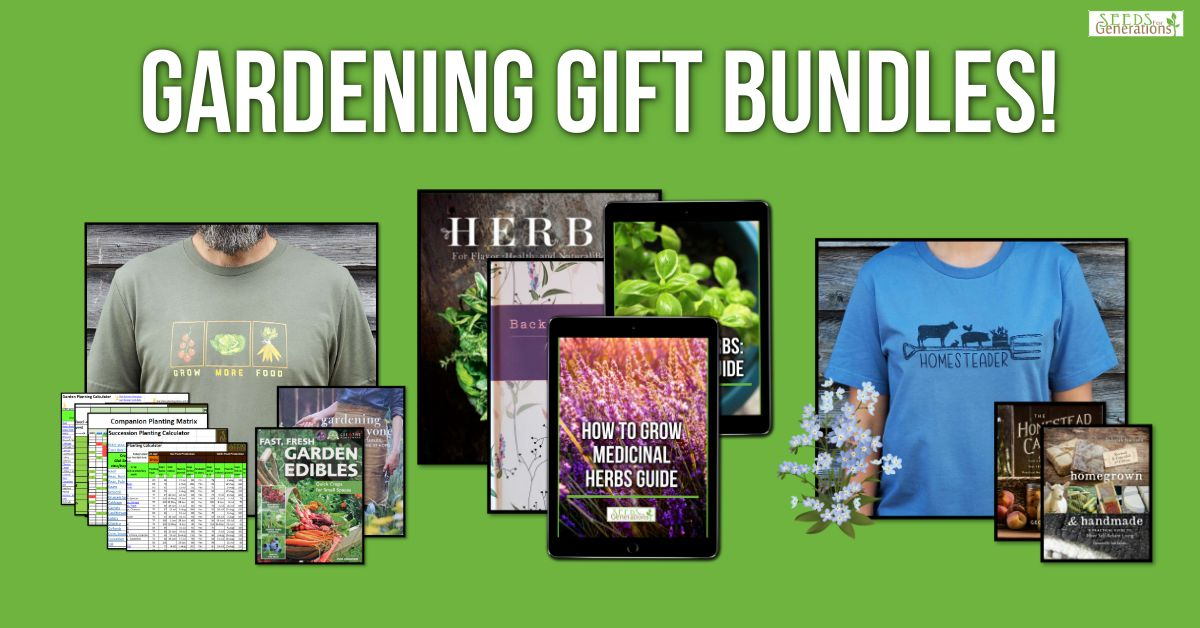 A cake pan filled to the brim with reddish black ripe boysenberries.