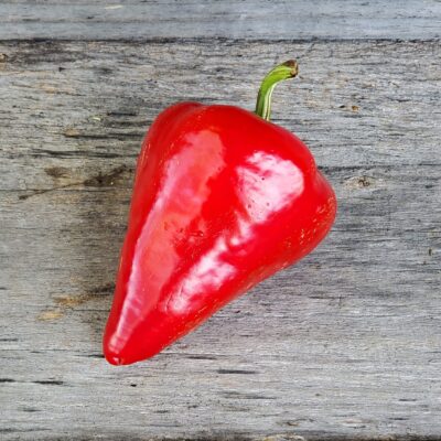 A vivid red Pepper Sweet Lesya on a wooden surface/