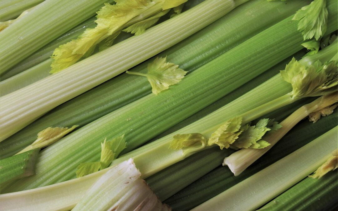 Celery Blanching Video