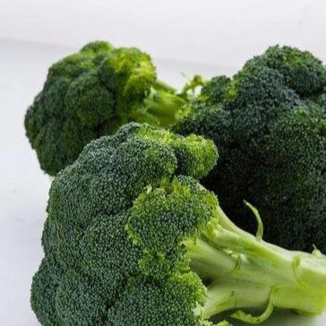 A close up of Broccoli Waltham 29 on a white surface.