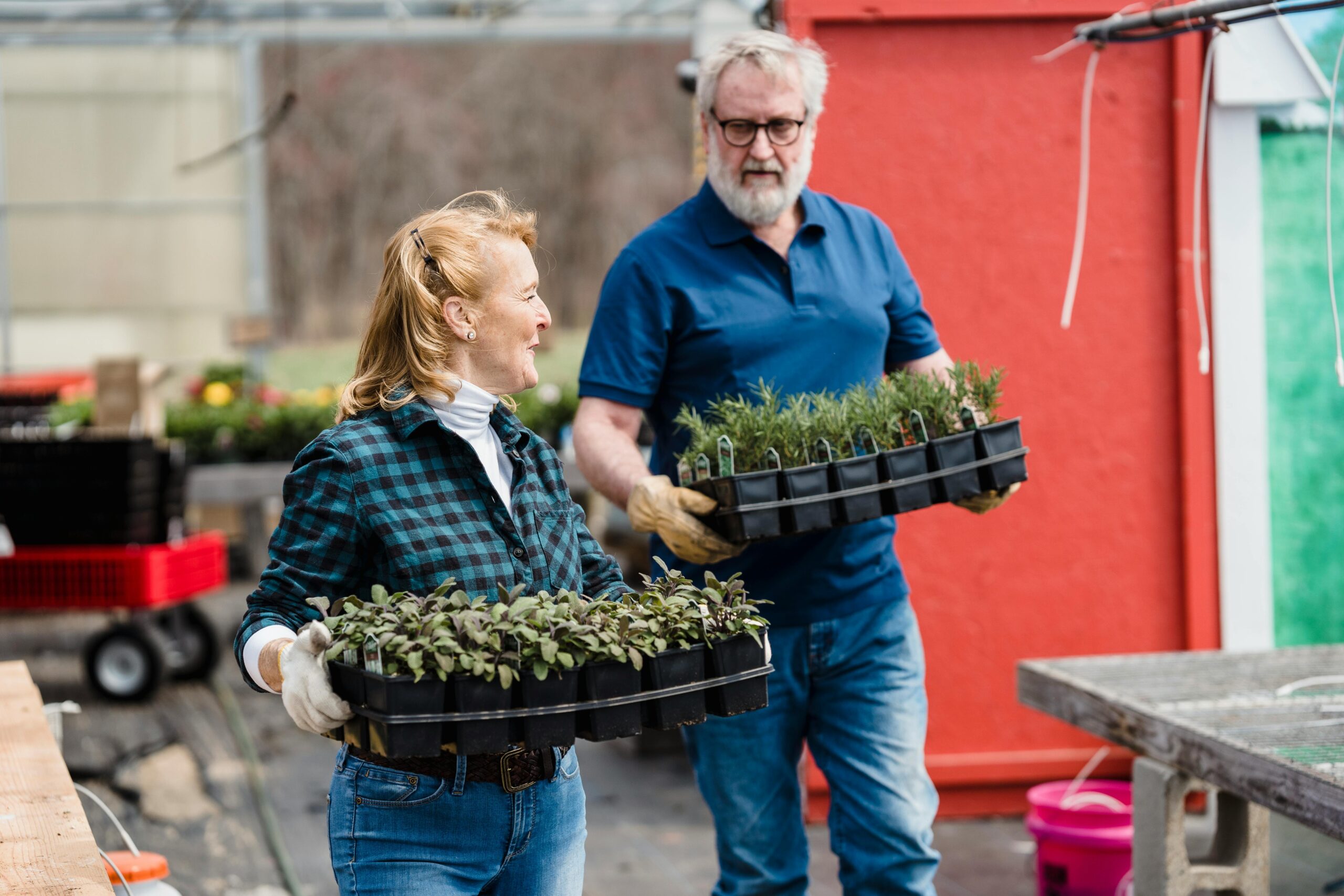 A couple holding plants in trays in a greenhouse.