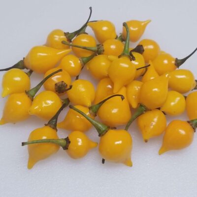 A pile of Hot Biquinho Yellow Peppers on a white surface.