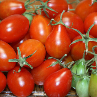 A basket full of red and green Red Pear Tomatoes.
