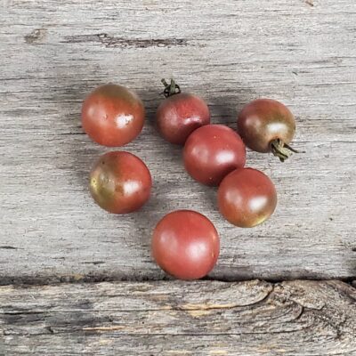 Red Rosella Cherry Tomatoes on a wooden surface.