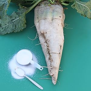 Large white Sugar Beet with spoonfulls of sugar on the side.