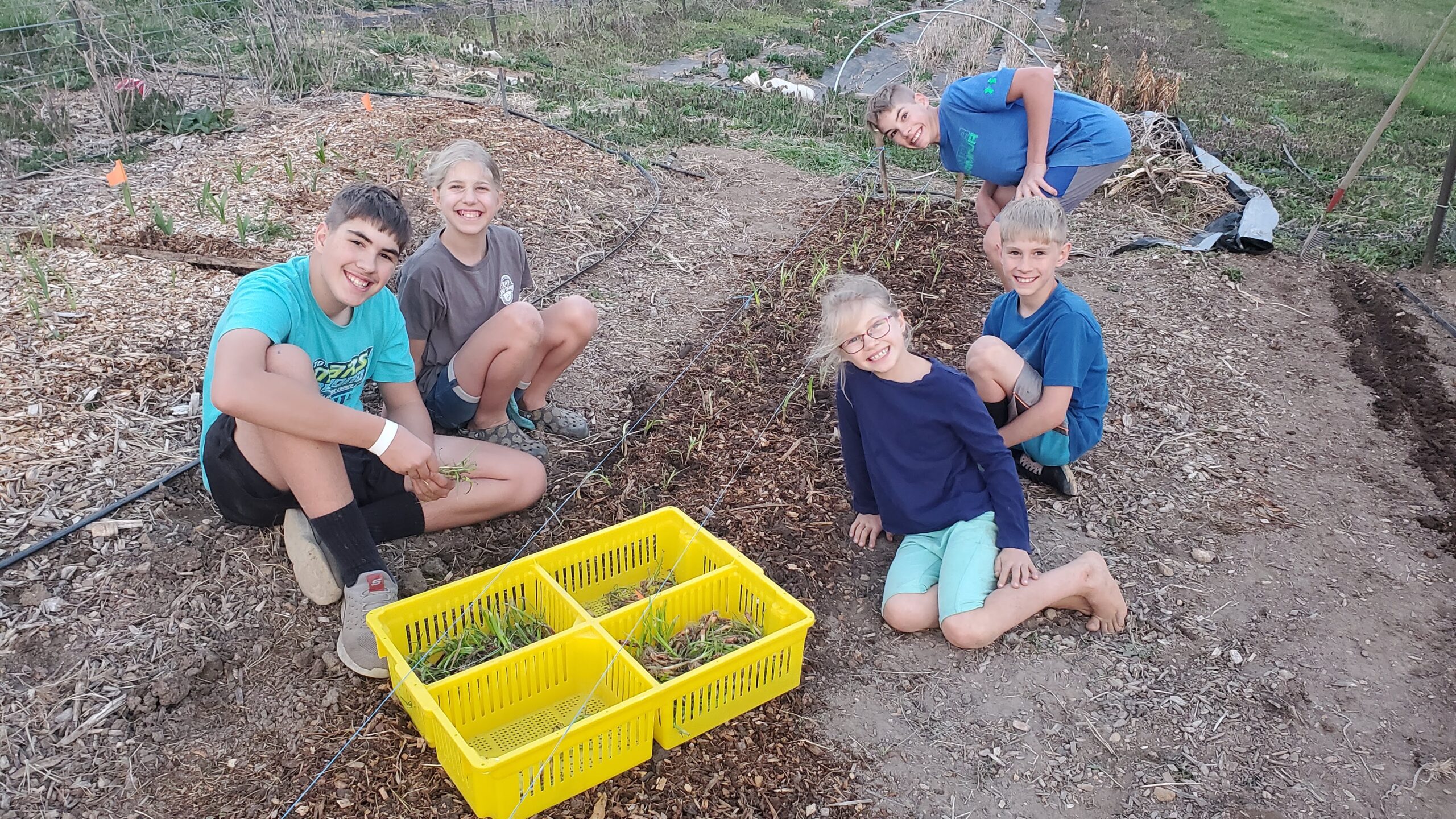 Four children smiling in a garden with a yellow basket of onion starts.
