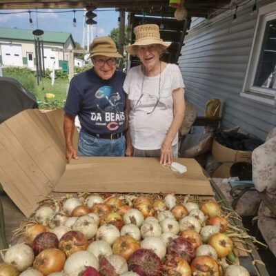 Two people standing in front of large Long Day Onions laid out to cure.