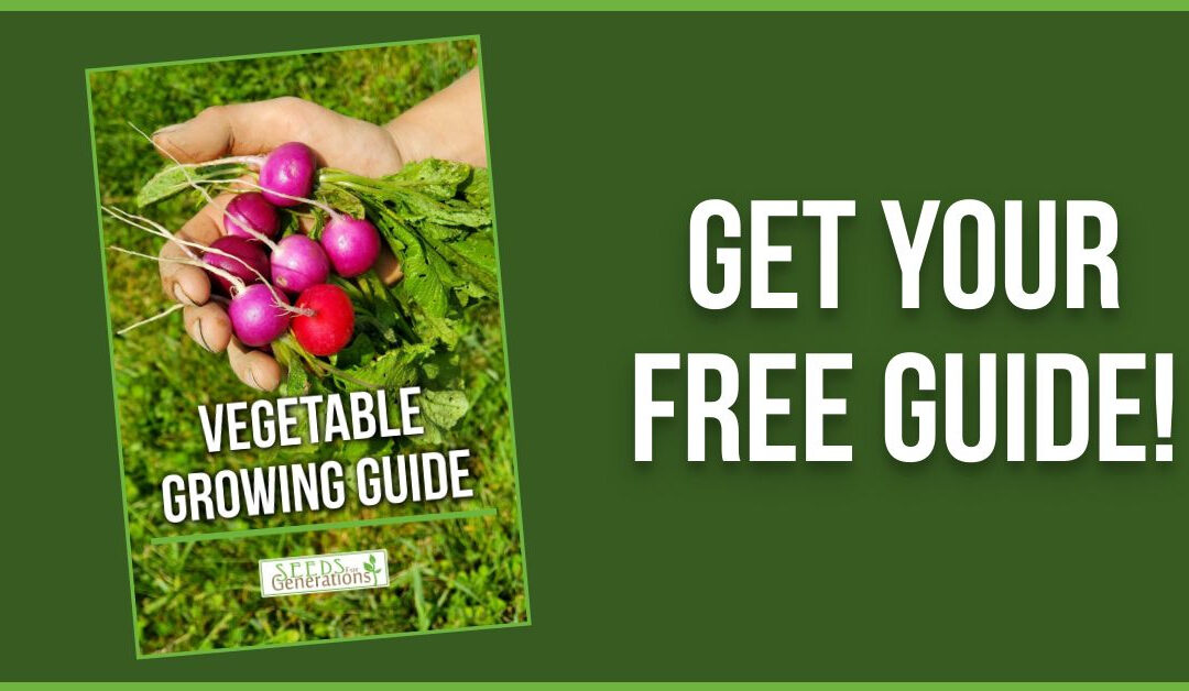 Vegetable Growing Guide