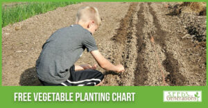 A young boy plants seeds in a garden bed, with text overlay reading "free vegetable succession planting chart" by "seeds for generations".