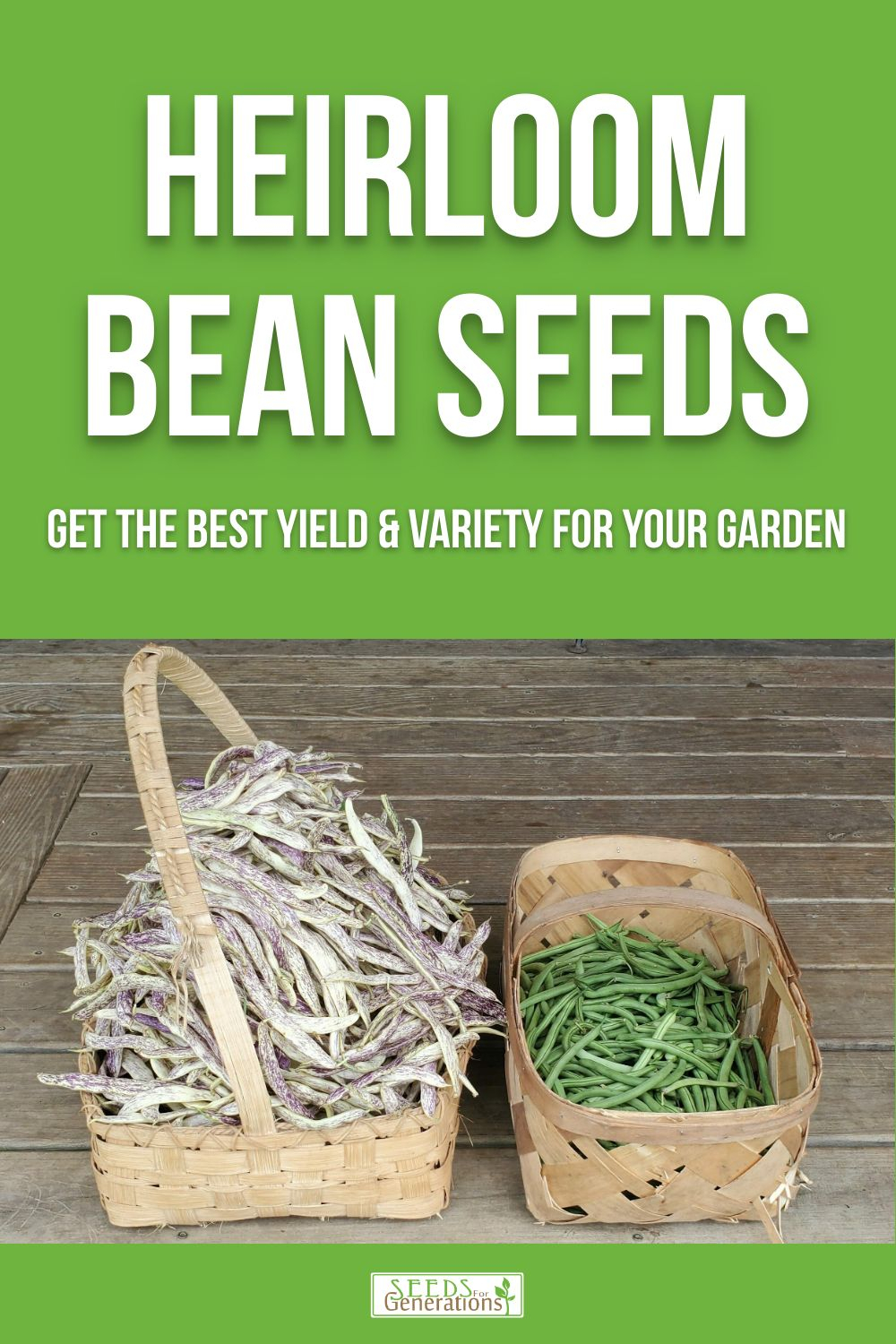 Heirloom Bean Seeds to get the best yield and variety for your garden! 
