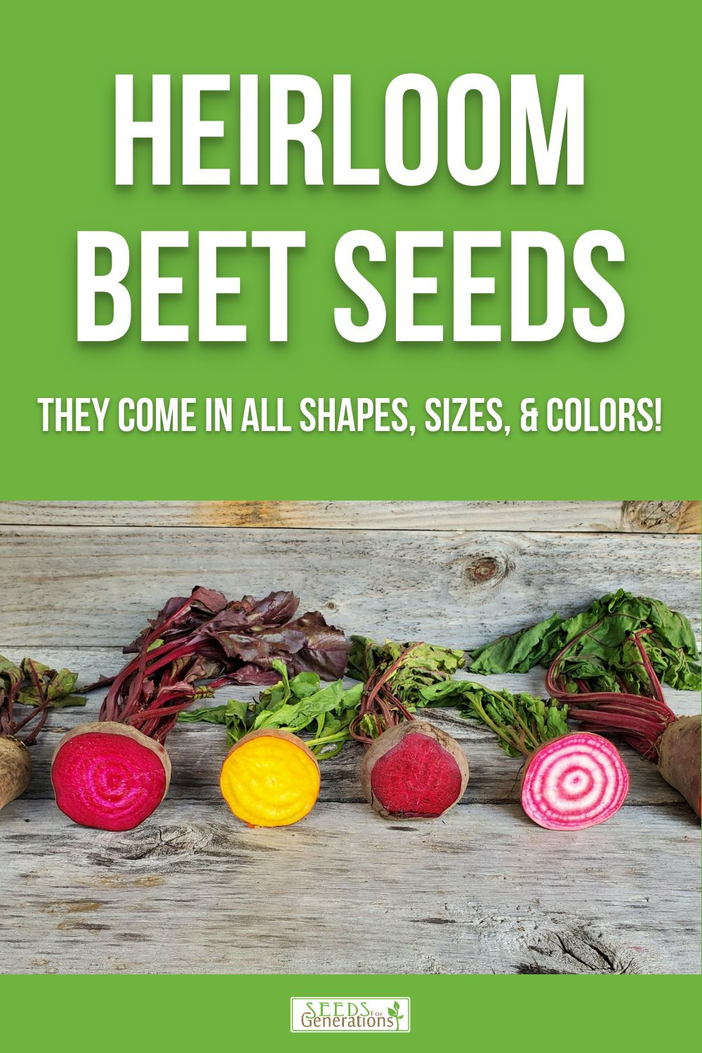 Heirloom Beet Seeds, they come in all shapes, sizes, and colors! 