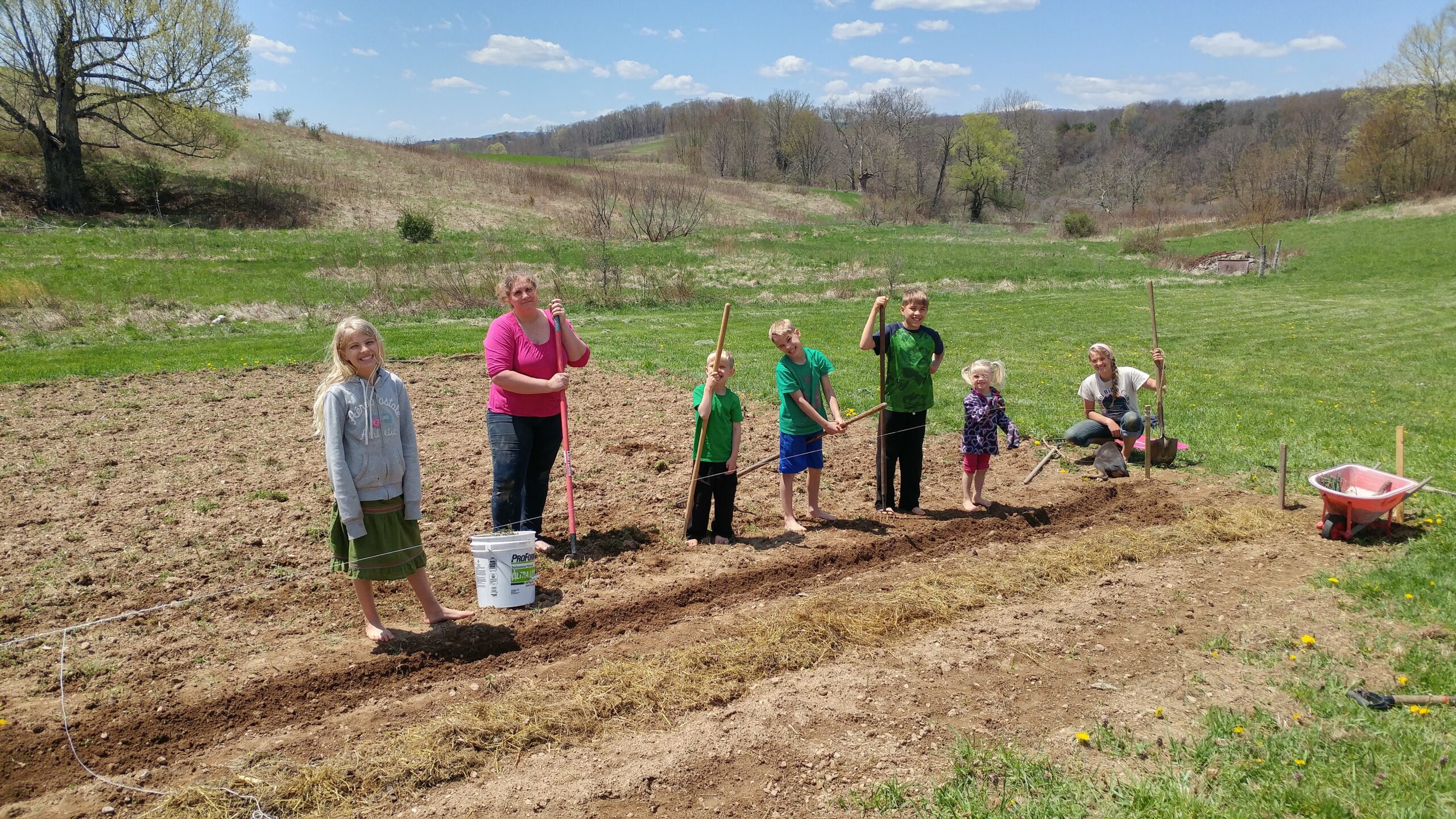 A family engaged in gardening together in a cultivated field on a sunny day.
