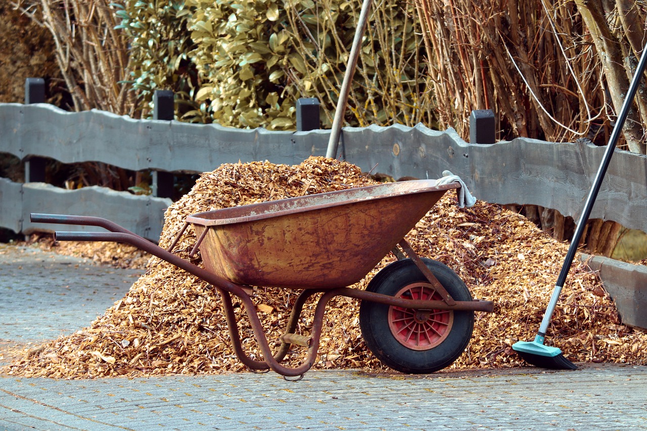 Rusty wheelbarrow filled with mulch, accompanied by a rake, parked on a gravel path beside a green bush.