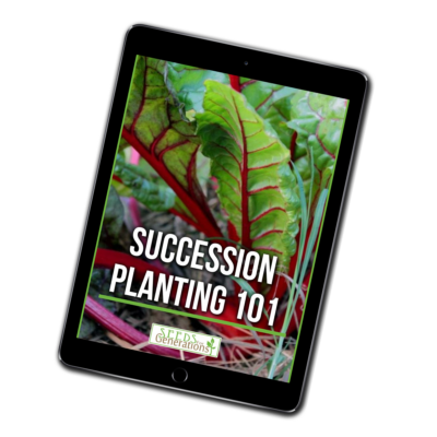 A tablet shows an image of a leafy green plant with red stems and the text "Succession Planting 101 Guide" on its screen.