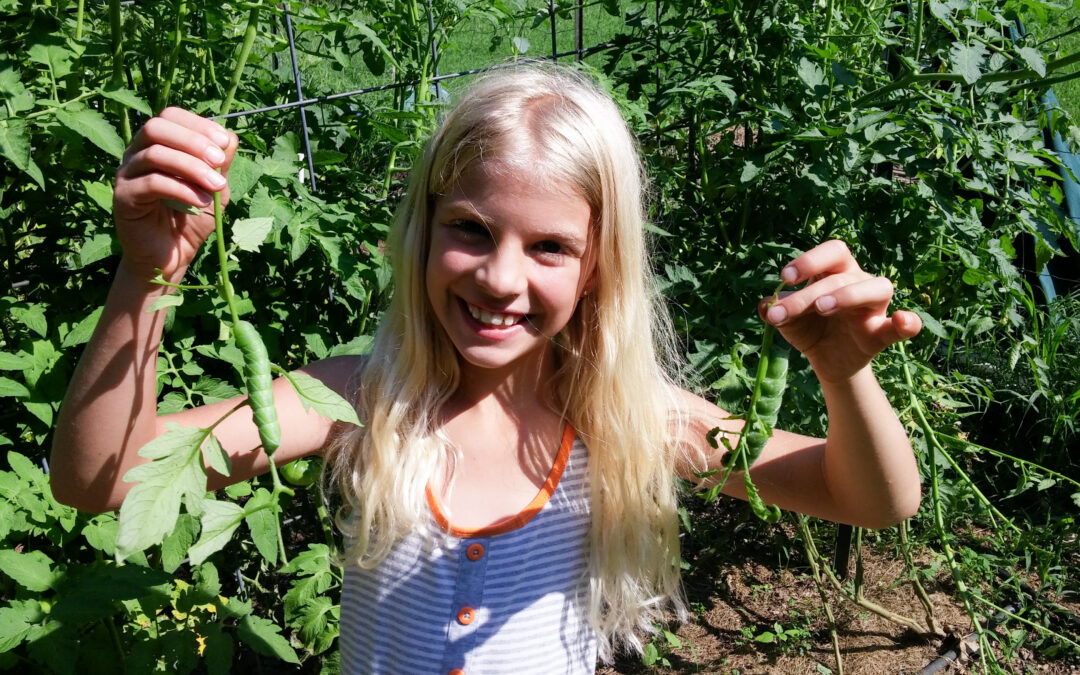 A girl with long blonde hair holds up tomato hornworms in both hands in the garden.