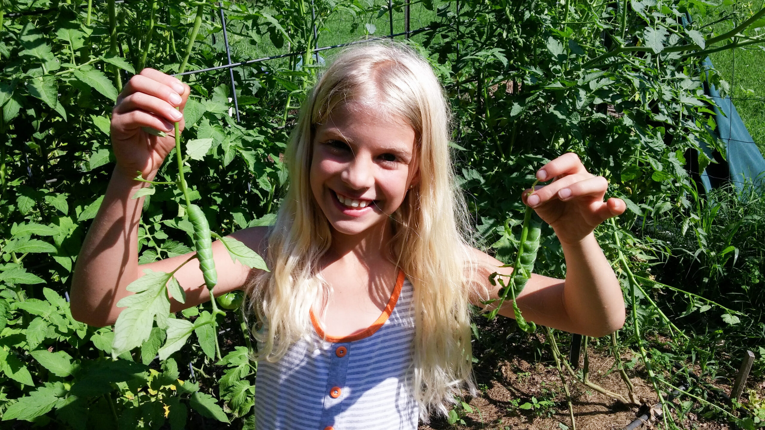 A girl with long blonde hair holds up tomato hornworms in both hands in the garden.