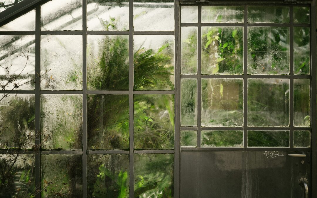 Rustic Greenhouse Video