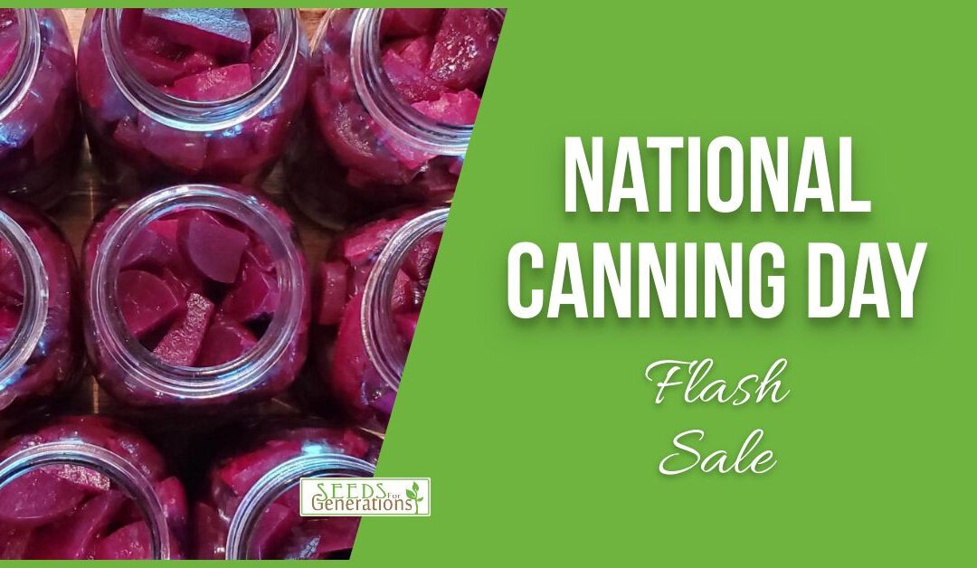 National Canning Day Flash Sale