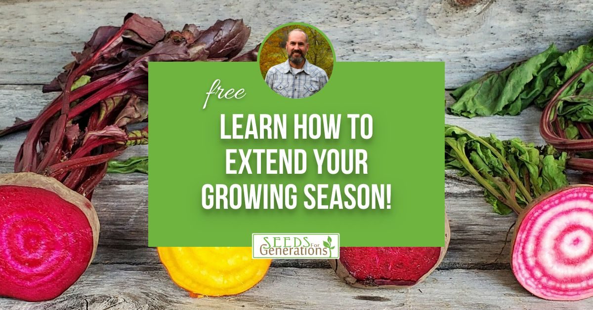 Colorful beets and greens are arranged around a green box promoting a free tutorial on extending the growing season in food production, with a small photo of a man.