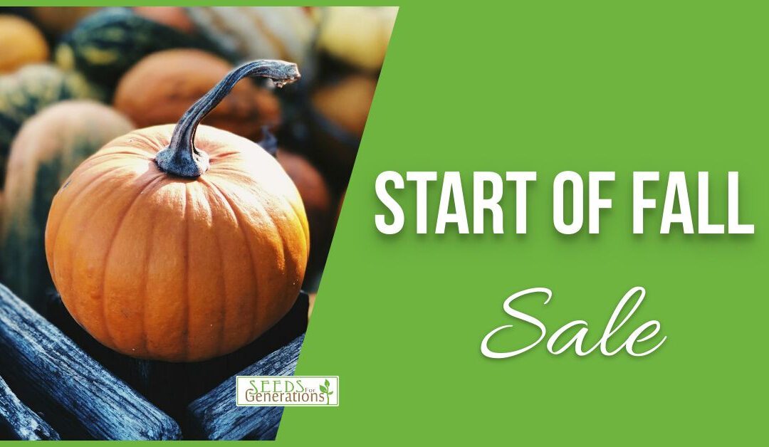 Start of Fall Sale