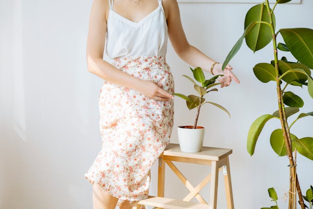 Botany Video