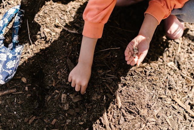 Saving Dry Seeds Video