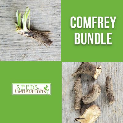 Explore the Comfrey Bundle ad featuring strong roots and lush seedlings beautifully arranged on a wooden backdrop, highlighted with the "Seeds for Generations" logo. Ideal for both herbal enthusiasts and gardeners.