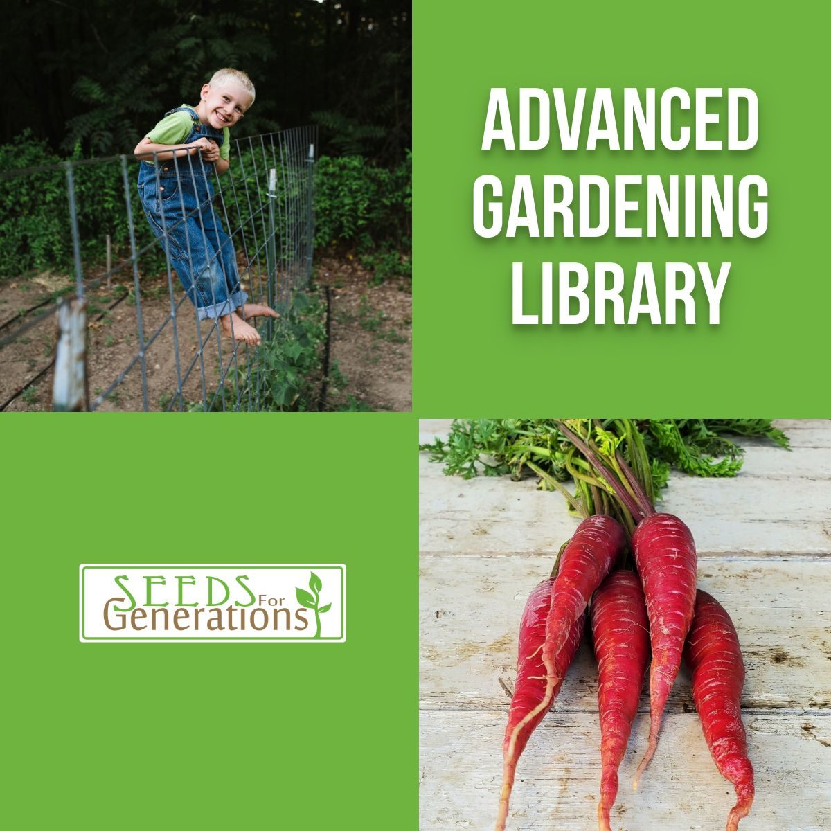 Advanced Gardening Library - Seeds for Generations A child stands on a garden fence with text that reads "Advanced Gardening Guide Bundle." The image features red carrots along with the "Seeds for Generations" logo.