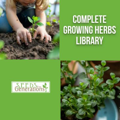 A person planting a small herb, alongside the text "Complete Growing Herbs Bundle" and the "Seeds for Generations" logo, with potted herbs.