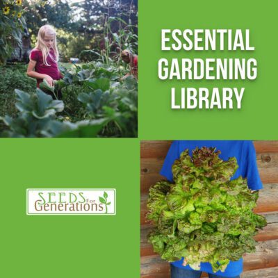 A girl tends to plants; text reads "Essential Gardening Guide Bundle." A person holds a large bunch of lettuce; logo says "Seeds for Generations.