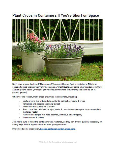 Guide to Gardening with Kids - Seeds for Generations Various potted plants, including herbs and flowers, in metal containers on a grassy area illustrate the concept of container gardening for small spaces. Learn more with our "Guide to Gardening with Kids.