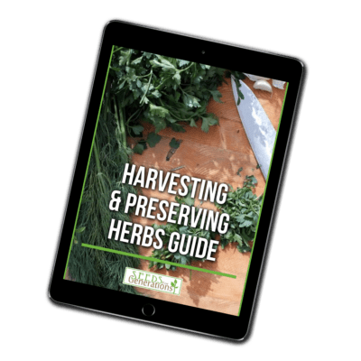 Tablet showcasing the cover of the Harvesting & Preserving Herbs Guide, which includes a cutting board, knife, and fresh herbs.